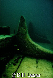 Whitefish Point Shipwreck Preserve
Hanging Knees by Bill Leser 